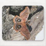 Polyphemus Moth Vertical Mouse Pad