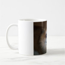 Pom Mug