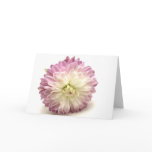 pom pom cards