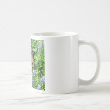 Pom Pup In Blue Bonnets Coffee Mug