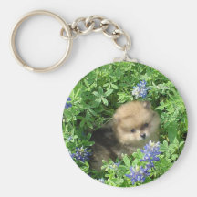 Pom Pup In Blue Bonnets Key Chains