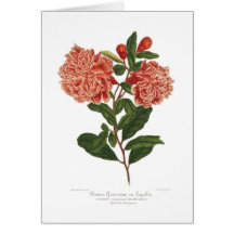 Pomegranate Greeting Cards