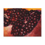 Pomegranate Postcards