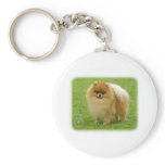 Pomeranian 8T087D-06 keychains