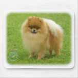 Pomeranian 8T087D-06 mousepads