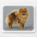Pomeranian 9R042D-22 mousepads