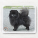 Pomeranian 9R042D-47 mousepads