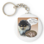 Pomeranian (blktan) Turkey keychains