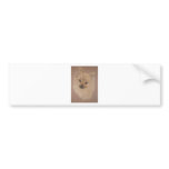 Pomeranian Bumper Stickers