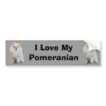 Pomeranian Bumper Sticker bumper stickers