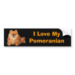 Pomeranian Bumper Sticker bumper stickers