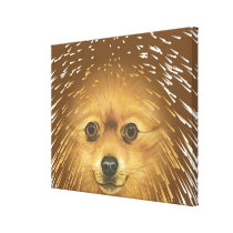 Pomeranian Gallery Wrap Canvas