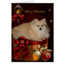 Pomeranian Christmas Greeting Card