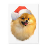 Pomeranian Christmas Postcard