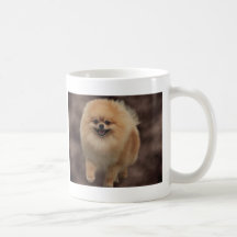Pomeranian Coffee Mugs