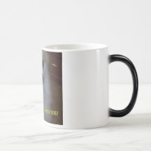 Pomeranian Coffee Mugs