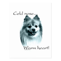 Pomeranian Cold Nose Warm Heart Post Cards