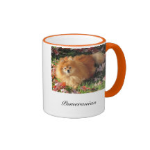 Pomeranian dog coffee mug Autumn background