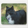 Pomeranian Dog Mouse Pad
