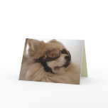 Pomeranian Friendship Card