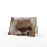 Pomeranian Friendship Card
