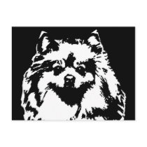 Pomeranian Gifts - Postcard