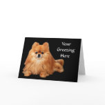 Pomeranian Greeting Card