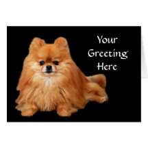 Pomeranian Greeting Card
