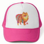 Pomeranian hats