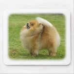 Pomeranian mousepads