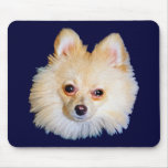Pomeranian Mousepad