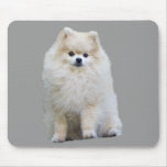 Pomeranian Mousepad