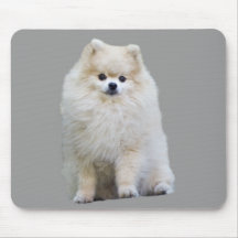 Pomeranian Mousepad