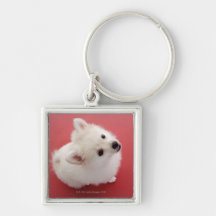 Pomeranian on the Red Carpet Keychains