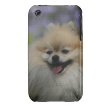 Pomeranian Panting Case-Mate iPhone 3 Cases