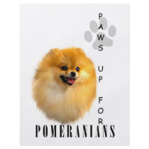 Pomeranian Paws Up Flyers