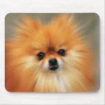Pomeranian Photography Zoom Speed Art Portrait mousepads