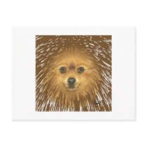 Pomeranian Post Cards