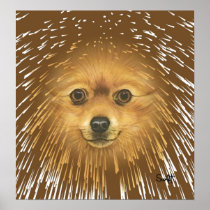 Pomeranian Print