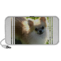 Pomeranian Puppies Portable Speakers