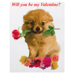 Pomeranian Puppy Be My Valentine Roses flyers