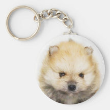 Pomeranian puppy keychain