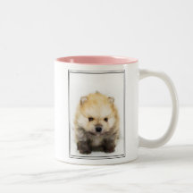 Pomeranian puppy mug