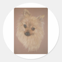 Pomeranian Stickers