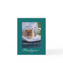 Pomeranian Thank you Note Card