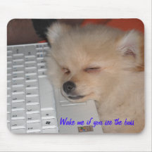 Pomeranian   Wake me if you see the boss Mouse Pad