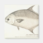 Pompano Fridge Magnets