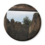 Pompeii - Close-up of an ancient courtyard Fridge Magnet