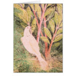 Pompeii Garden Fresco Card