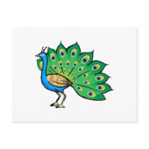 Ponce Peacock Postcard